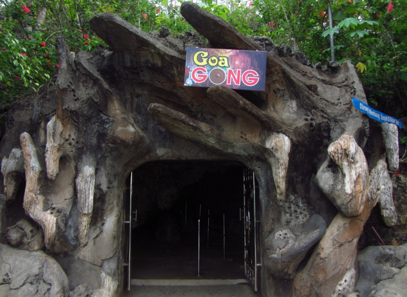 Goa Gong Solo