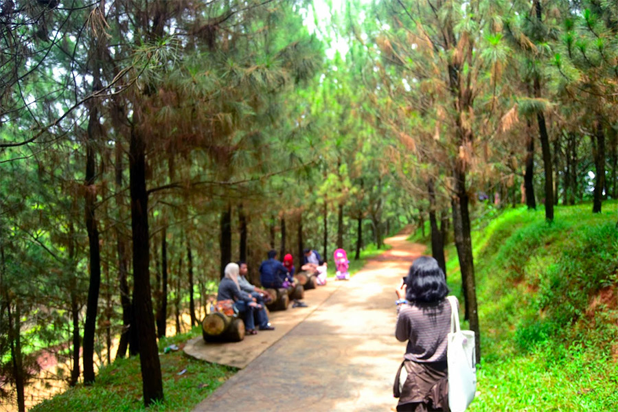 Hutan Kota BSD Tangerang