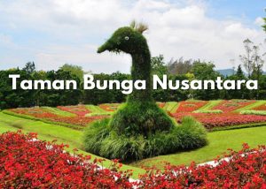 Wisata Taman Bunga Nusantara Puncak, Harga Tiket Masuk & Fasilitas