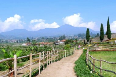Happy Farm Ciwidey, Bandung Untuk Wisata Bersama Keluarga