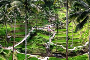 15 Tempat Wisata di Gianyar, Bali yang Wajib Dikunjungi